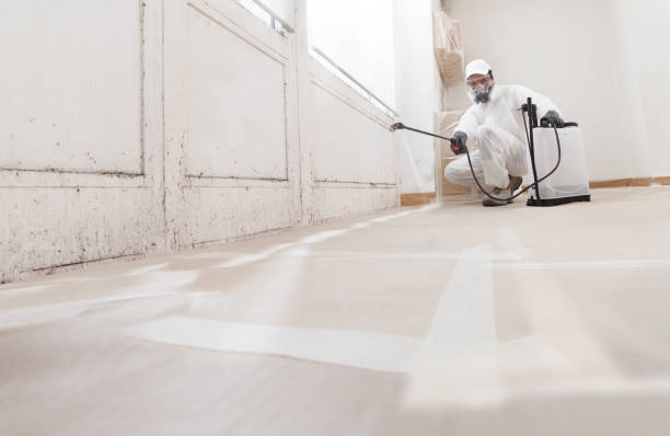 24/7 Emergency Mold Inspection experts in Union, NJ